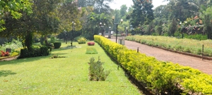 "Innovation hub" at Pilikula soon